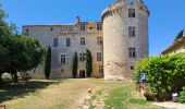 Randonnée Marche Auvillar - auvillar mirandoux - Photo 3