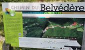 Tour Wandern Voreppe - Voreppe - Rocher de Bellevue - Photo 2