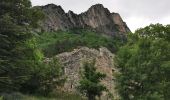 Randonnée Marche Saou - Forêt de Saou  - Photo 6