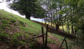 Trail Walking Sentheim - Sentheim Rossberg - Photo 17