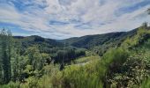 Tocht Stappen Bouillon - rando rochehaut 8/09/2020 - Photo 1