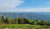 Tocht Stappen La Souche - Rocher d'Abraham par la Tour des Poignets - Photo 1