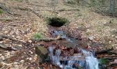 Tour Zu Fuß Kleinkahl - Schwarzer Fuchs, Rundwanderweg Kleinkahl - Photo 1