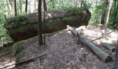 Tocht Stappen Münchweiler an der Rodalb - Pirmasens - Felsenwald - Photo 18