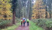 Trail Walking Champcueil - Boucle Champcueil - Photo 1