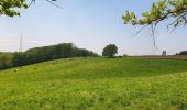 Tocht Stappen Nijvel - Balade à Monstreux - Nivelles - Photo 8