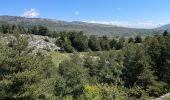 Tour Wandern Caussols - Caussol le 15/05 - Photo 7