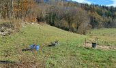 Tour Wandern La Sure en Chartreuse - Grand Raz Rousdeau - Photo 1