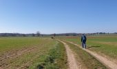 Tour Wandern Momignies - Balade dans la Botte du Hainaut - Photo 5