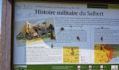 Randonnée Marche Châlonvillars - Châlonvillars - les étangs - fort du Salbert - grottes Cravanche - Photo 20