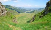 Randonnée Marche Lavigerie - Cantal - La Gravière - Les Fours de Peyre-Arse - 18.9km 760m 8h05 (30mn) - 2019 07 04 - Photo 6