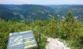 Tour Wandern Septmoncel les Molunes - 190624 - Jura.2 - Montépile  - Photo 7