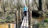 Trail On foot Dilbeek - Stationswandeling Dilbeek - Ternat - Photo 1