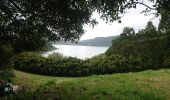 Tocht Stappen Furnas - pico et lac furnas - Photo 3