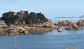 Tocht Stappen Perros-Guirec - sentier douaniers - Photo 10
