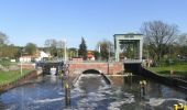 Percorso A piedi Königs Wusterhausen - Wanderlehrpfad um den Wernsdorfer See - Photo 9