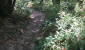 Trail Walking Saint-Forget - Dampierre, mesnil sevin, mesnil saint denis via les bois  - Photo 9