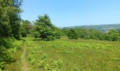 Randonnée Marche Liège - parc d avroy . Landes de Streupas . parc d avroy - par monts et par vaux  - Photo 5