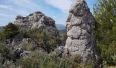 Randonnée Marche La Roquebrussanne - la montagne de la Loube - Photo 7