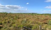 Trail Horseback riding Theux - La Reid Les Cours - Photo 2