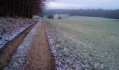 Tocht Stappen Braillans - BRAILLANS Forêt de MARCHAUX - Photo 4