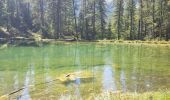 Excursión Senderismo Crots - boucle lac du Lauzerot  - Photo 5