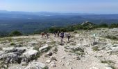 Tocht Stappen Riboux - pic de Bretagne départ de Riboux - Photo 1