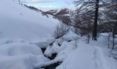 Excursión Raquetas de nieve Allos - Rando Raquettes Val d'Allos  - Photo 7