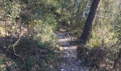 Tour Wandern Le Broc - L esteron  AM. 21/02/2019 - Photo 1