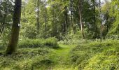 Randonnée Marche Villers-Cotterêts - en forêt de Retz_87_la Laie des Masures par la Route Chrétiennette - Photo 20