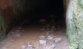 Trail Walking Montmeyan - les basses gorges de quinson - Photo 15