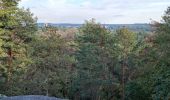 Trail Walking Fontainebleau - Sentier Denecourt 8 8-8 - Photo 5