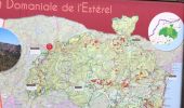 Randonnée Marche Fréjus - Route des cols mont vinaigre - Photo 15