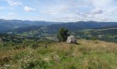 Trail Walking Orbey - Les 3 lacs Hautes huttes Orbey A pied - Photo 6