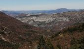 Tocht Stappen La Roche-sur-le-Buis - la montagne de Banne  - Photo 18