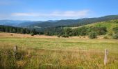 Trail Walking Orbey - Circuit des 2 lacs : lac du Forlet et lac Vert - Photo 5