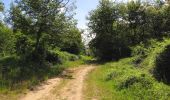 Trail Walking Rethondes - en forêt de Laigue_8_06_2020_les Routes des Bonshommes, de la Trouée des Bonhommes_Route forestière de Sainte-Croix - Photo 2