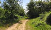 Excursión Senderismo Rethondes - en forêt de Laigue_8_06_2020_les Routes des Bonshommes, de la Trouée des Bonhommes_Route forestière de Sainte-Croix - Photo 2