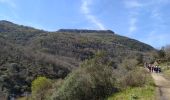 Tour Wandern Callas - callas  le pont d'endre - Photo 1