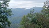 Tocht Stappen Sewen - Circuit lac d'alfeld / ballon d'Alsace  - Photo 18