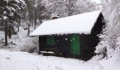 Randonnée Marche Bullange - La vallée perdue - Rocherath  - Photo 8