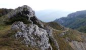 Trail Walking Omblèze - Le tour du Roc de Toulau - Photo 5