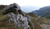 Tour Wandern Omblèze - Le tour du Roc de Toulau - Photo 5