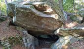 Randonnée Marche Fontainebleau - Sentier Denecourt 1 - Photo 9