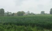 Tour Wandern Veere - Veere 14 km - Photo 13