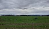 Tour Wandern Neufchâteau - marche adeps Tournay  - Photo 3