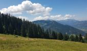 Tour Wandern Le Grand-Bornand - Le Grand Bornand Les Confins - Photo 4