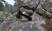 Trail Walking Fontainebleau - Rocher du Cuvier Châtillon - Photo 6