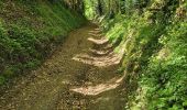 Trail Walking Valorbiquet - st  - Photo 4