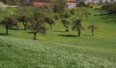 Excursión A pie Poppenhausen - Dietershausen Rundweg 2 - Photo 10